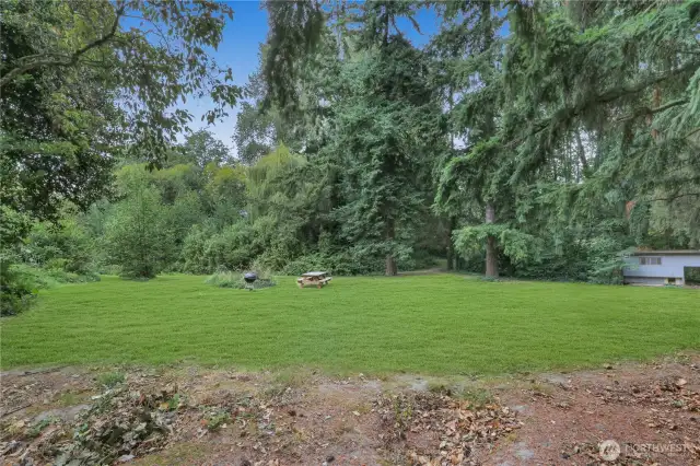 Expansive Backyard