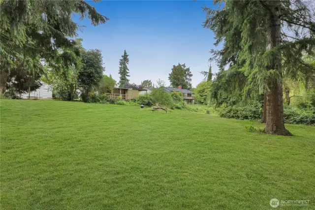 Backyard looking towards homes