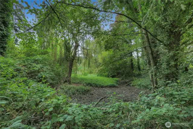 Slough that runs through property