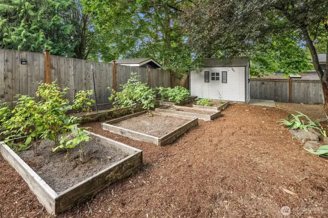 Garden beds