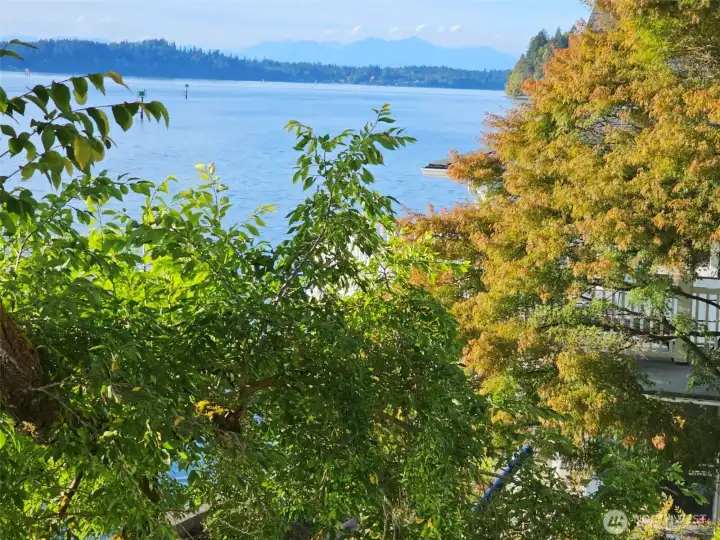 On a clear day, you can see The Olympics even better.