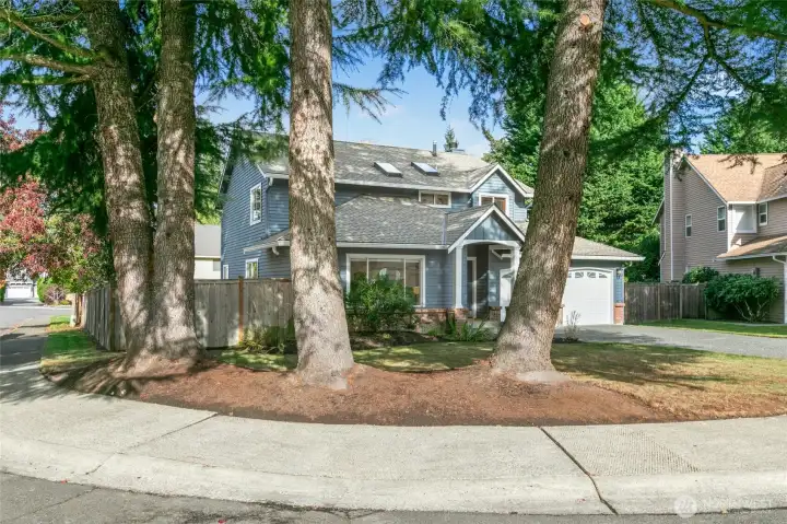 Fully fenced, this gorgeous property is also in one of the top-rated school districts in the Seattle area. Sunset Elementary, Issaquah Middle School, and Issaquah High School.