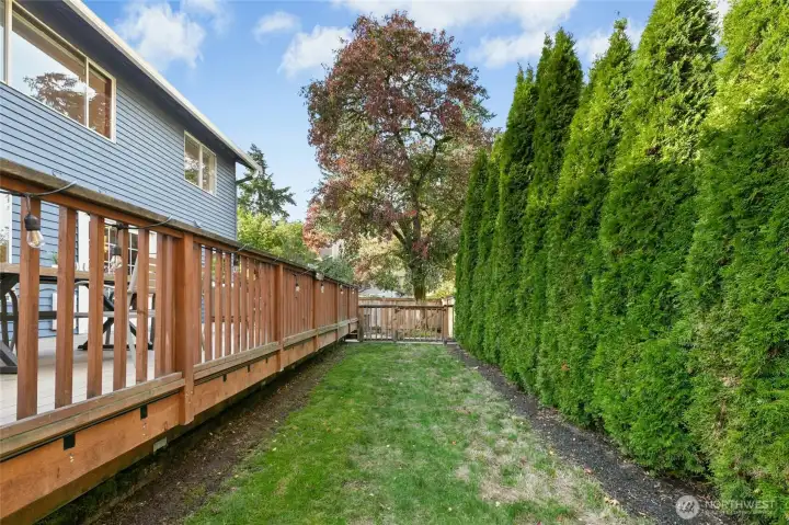 Welcome to the backyard! Gates galore! This area can be used for play, gardening, or even pets. Access the deck to the left or go through the gate onto the patio.