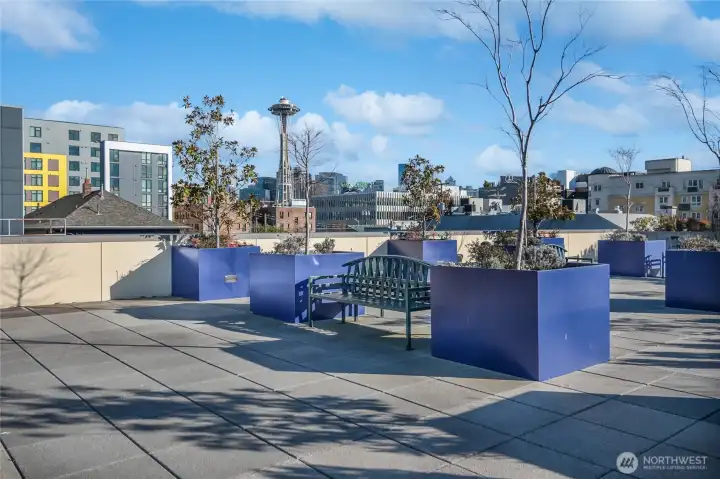 Come home to Tribeca! Space needle news await you from the sunny rooftop deck.