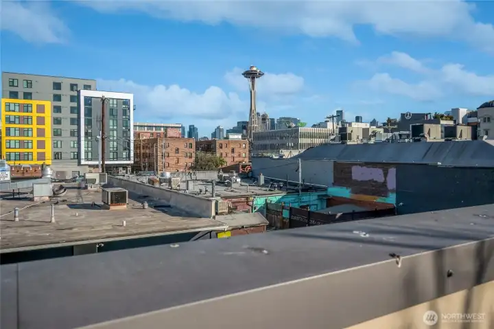 The city skyline & Space Needle rise in the distance.