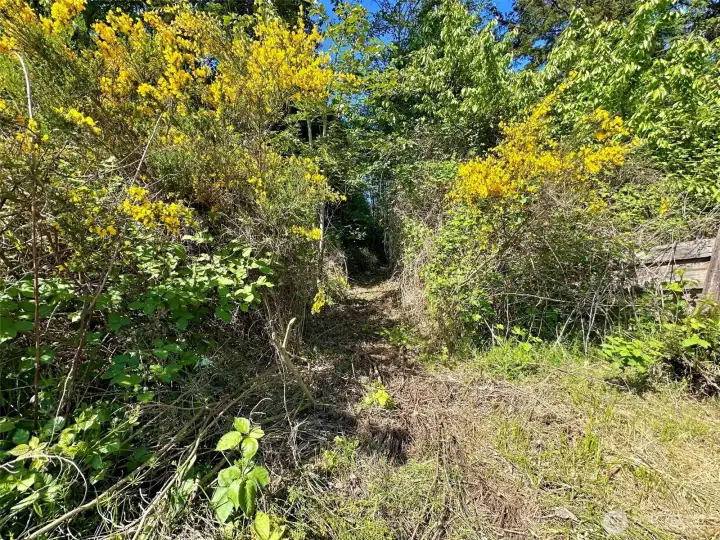 New trail to access property! New trail to access property!