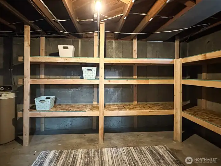 Storage with built-in shelves