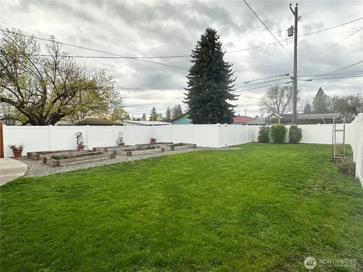 Large new fenced backyard