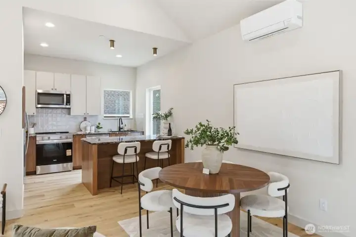 Ductless Mini splits for heating and AC