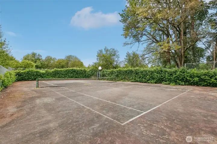 Sports Court for Tennis and basketball