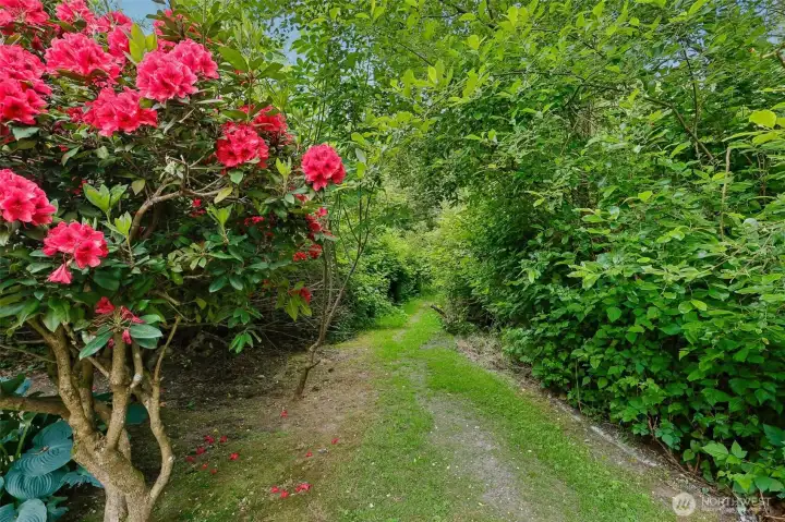 Beautiful walking trails