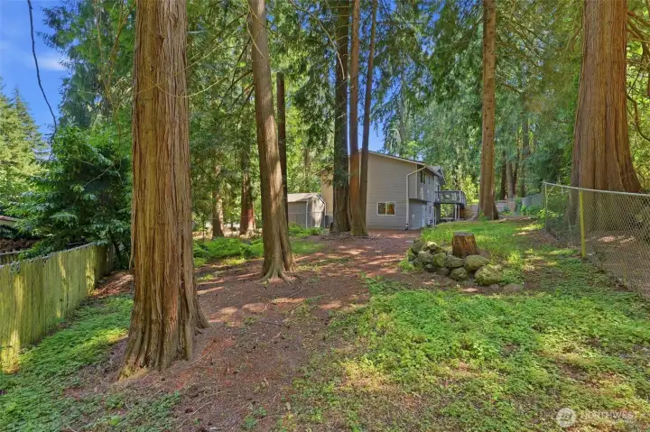 Fully-fenced park-like backyard! Fully-fenced park-like backyard!
