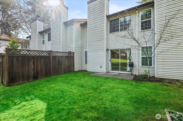 Backyard 2
