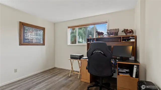 Downstairs Bedroom