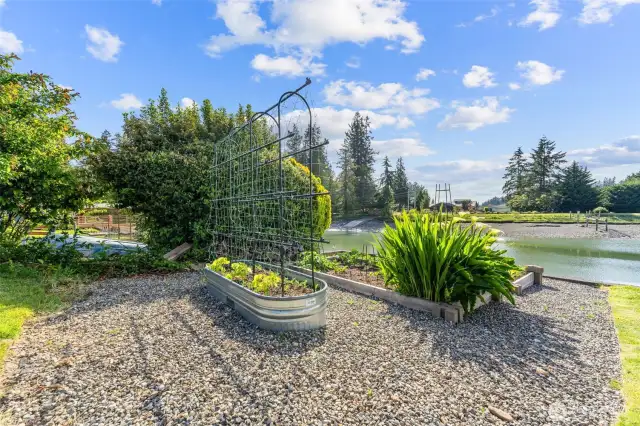 These raised beds have already provided years of delight for those with a green thumb! Keep up the tradition and plant veggies or flowers - they all do GREAT in the sunny part of the garden!
