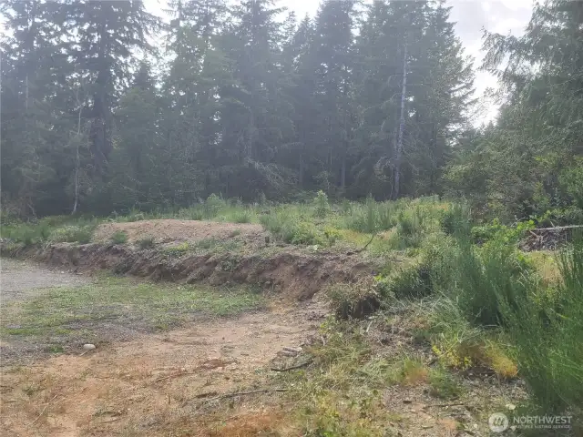 Building pad showing cut