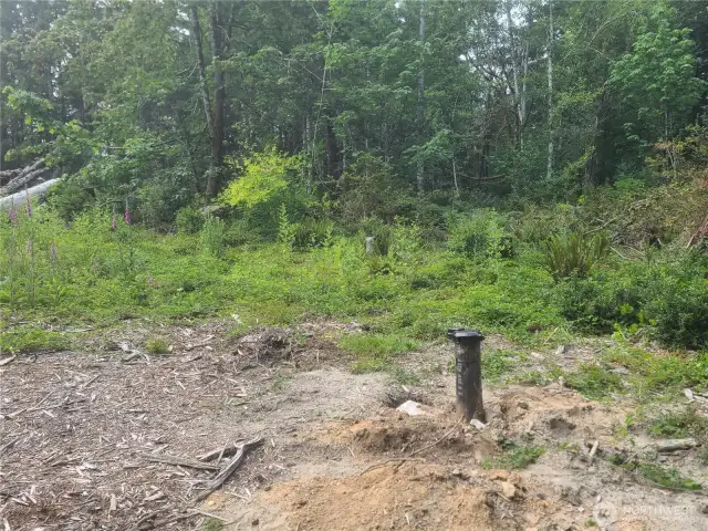 Drilled well area looking East