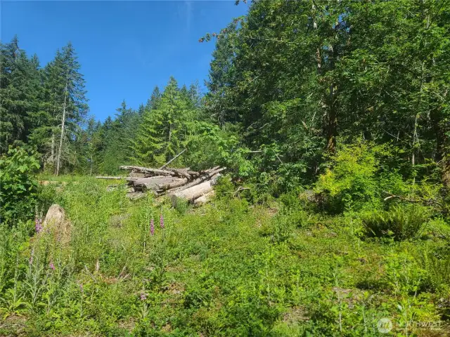 Northwest view of the property