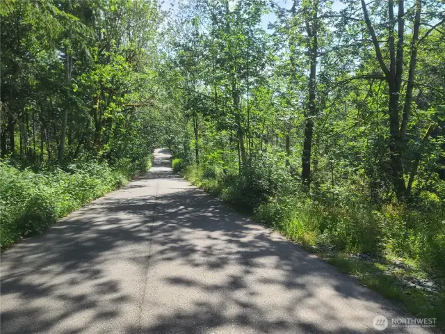 71st St looking East from the property