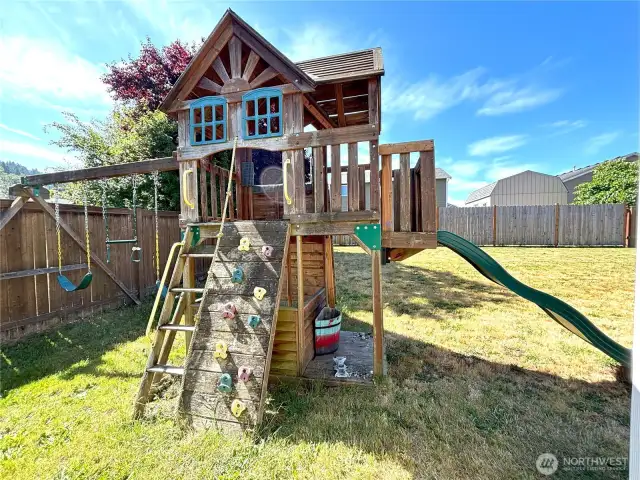 Big toy in backyard