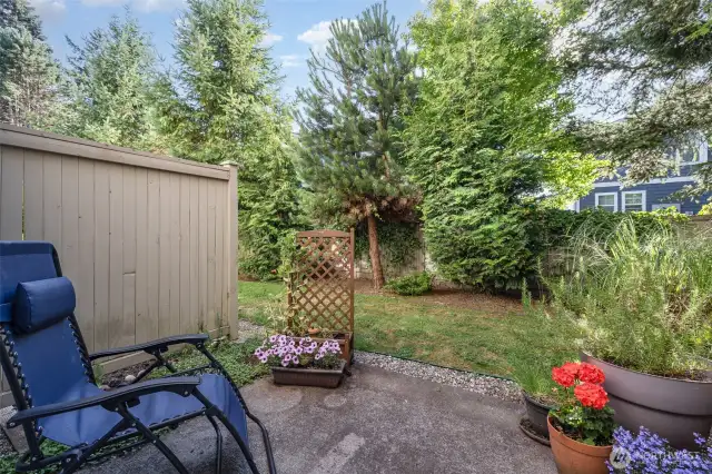 Patio Yard