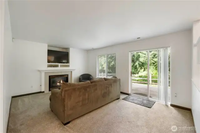 Gas fireplace for cozy evenings that are on the way.
