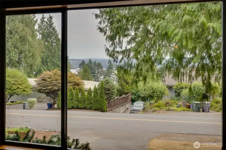 View from Kitchen