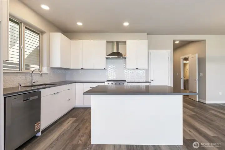 Stainless appliances