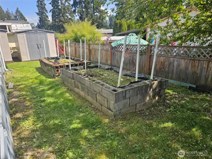 Imaging growing your own produce!
