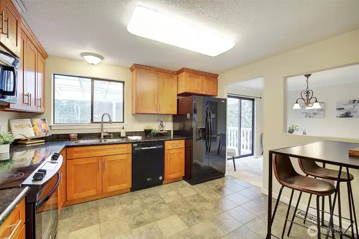 Kitchen with view to the back yard.