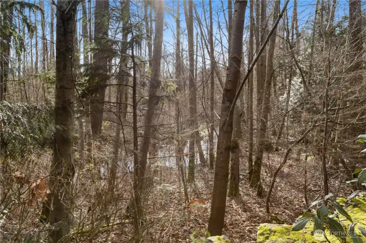 Residents enjoy a quiet, established neighborhood atmosphere.