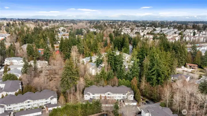 Convenient access to Boeing, shopping, dining, and daily amenities simplifies everyday life.