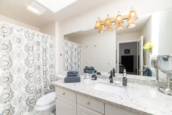 Beautiful primary suite with abundant natural light via skylight