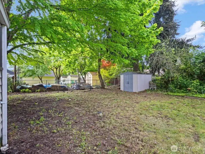 Backyard, trees, fenced