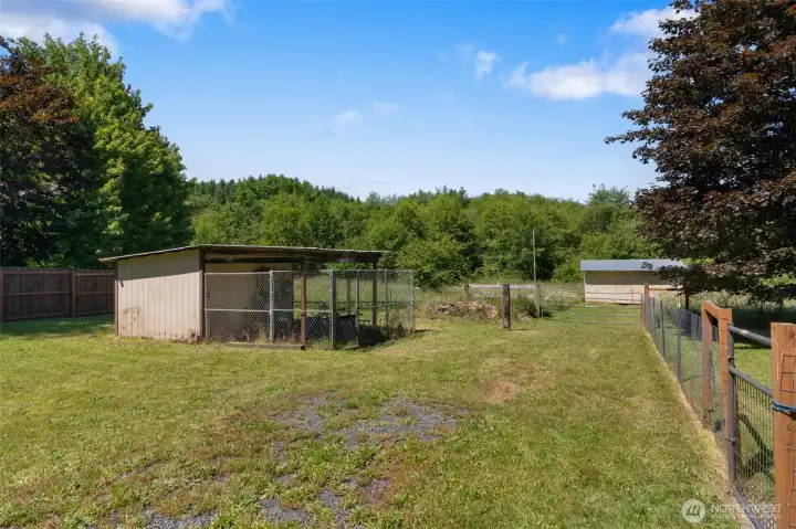 Shed with storage or dog kennel Shed with storage or dog kennel