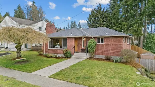 Charming mid-century home set back from street and fringed by flowering cherry tree about to burst into bloom.