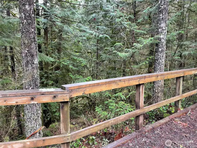 Greenbelt in back