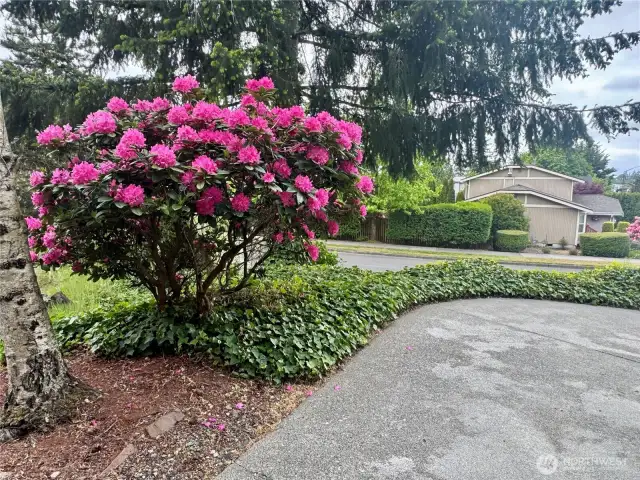 Curving driveway leads to the home...