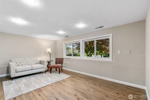 Lower Living Room