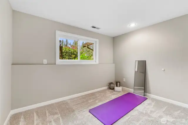 Lower Bedroom