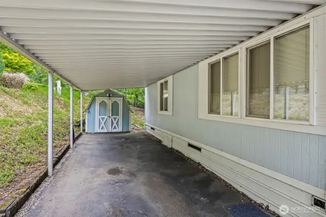 Shed
