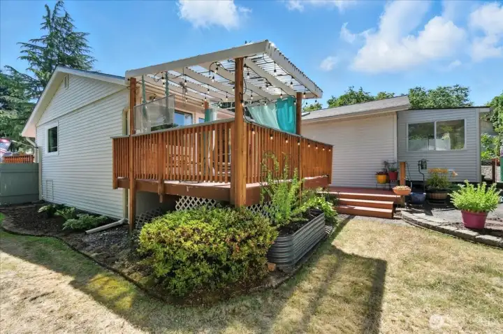 Back yard