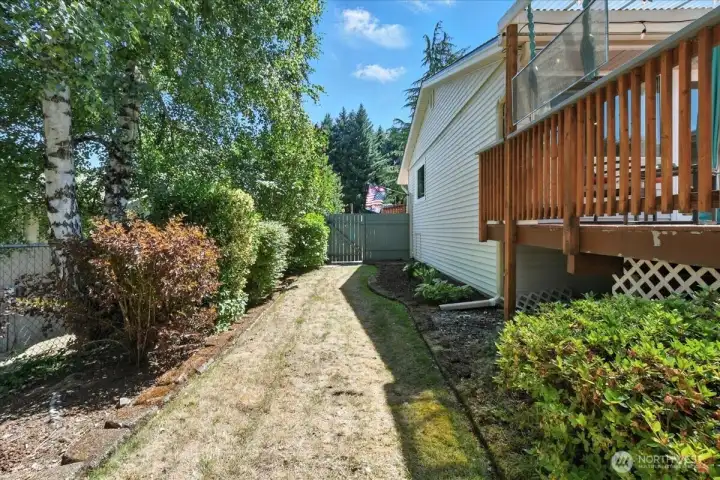 North Side Yard