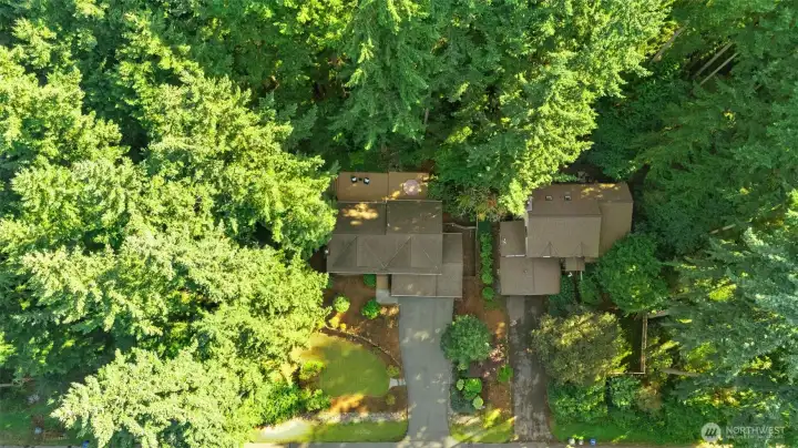Large Lot w/Privacy on a dead end street.