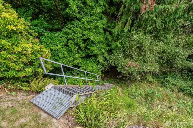 Backyard - stairs to lower landing (apple and large magnolia trees)