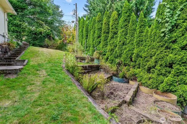 Terraced Garden Beds - Stairs on left lead from driveway to workshop.