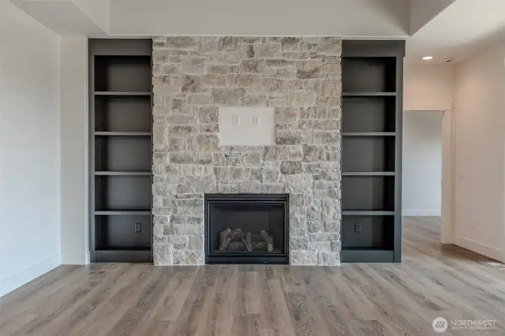 Propane Fireplace