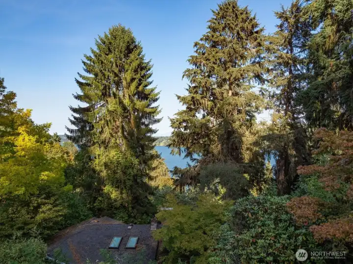 Lake Washington is yours to relish from almost every room in the house.