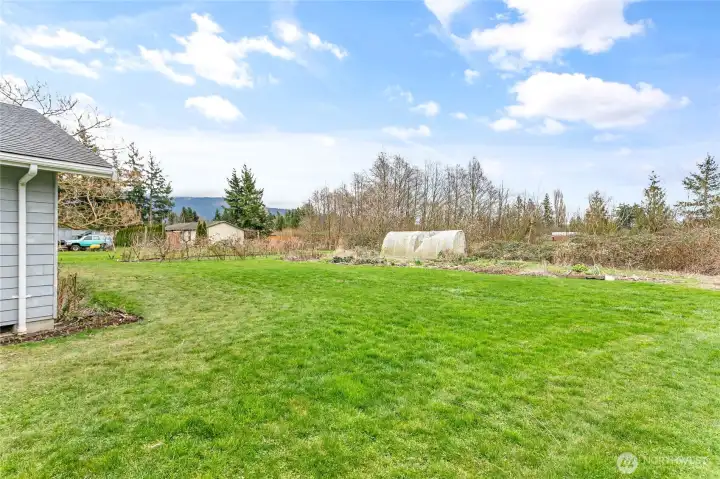 Huge backyard!