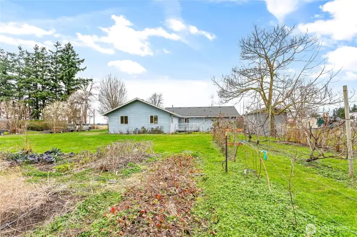 Fruit trees, plants abundant